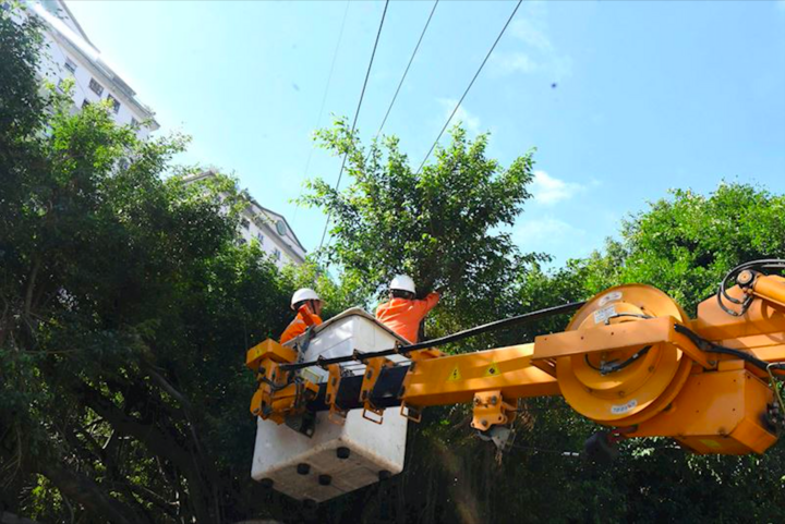 Công nhân EVNHANOI tiến hành kiểm tra, cắt tỉa cây gần hành lang lưới.