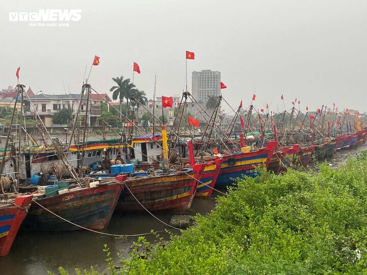 Sáng sớm 7/9, Thái Bình bắt đầu có những cơn mưa nhỏ kèm gió nhẹ. Tại khu vực cảng cá Tân Sơn (huyện Thái Thuỵ), tất cả tàu thuyền đã vào nơi neo đậu trú bão an toàn.