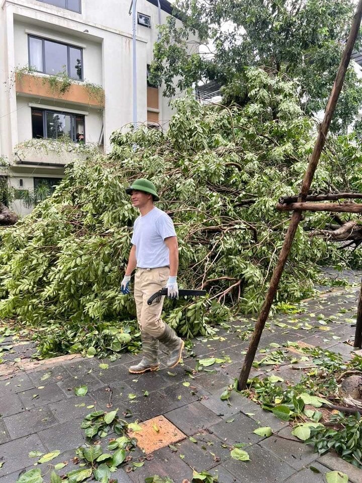 NSND Xuân Bắc cho biết sau khi dọn lá, di chuyển những cành to bị gãy, con đường đã thông thoáng và xe cộ có thể lưu thông.