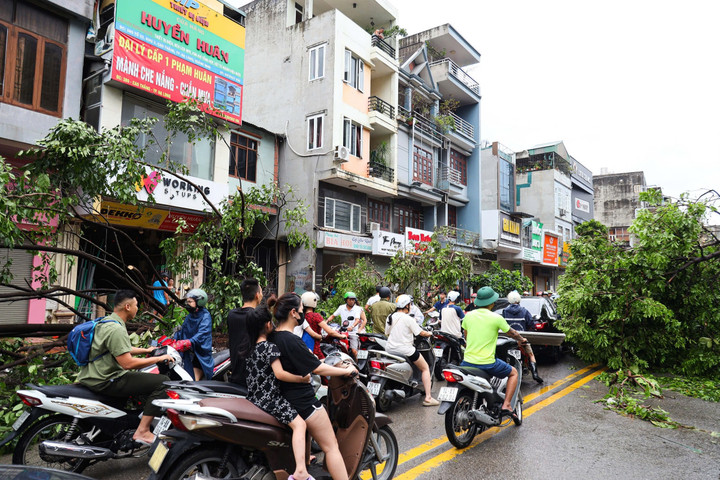 Chị Trần Thị Hoa (Phường Cao Thắng, Hạ Long) cho biết: "Cả ngày hôm qua, gia đình tôi đóng cửa trong nhà, chỉ nghe tiếng mưa, gió rít từng đợt, tiếng mái tôn va đập nhưng không thể tưởng tượng nổi cảnh tượng như vậy. Chỉ sau một đêm mà thành phố khang trang sạch đẹp trở nên xơ xác, cây cối đổ ngả nghiêng chắn lối đi. Khu phố chúng tôi như lạc vào rừng rậm".