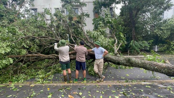 NSND Xuân Bắc cùng hai con trai hỗ trợ xử lý cây đổ, dọn dẹp đường phố sau cơn bão Yagi.