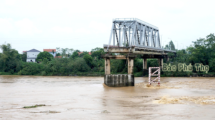 Cầu Phong Châu bị sập 2 nhịp dàn chính của cầu vào sáng 9/9. (Ảnh: Báo Phú Thọ)