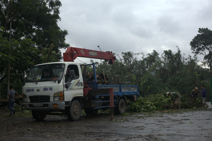 Các nhân viên môi trường thu dọn cây đổ quanh lối đi phía ngoài sân.
