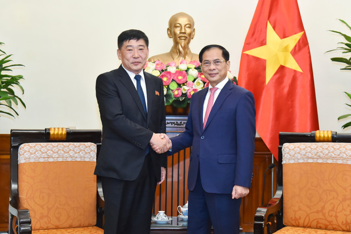 Phó Thủ tướng, Bộ trưởng Ngoại giao Bùi Thanh Sơn tiếp Thứ trưởng Ngoại giao Triều Tiên Pak Sang-gil.