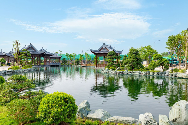 Ngự Hoa Viên hiện đang hoàn thiện xây dựng và dự kiến sẽ thả cá Koi từ tháng 9/2024.