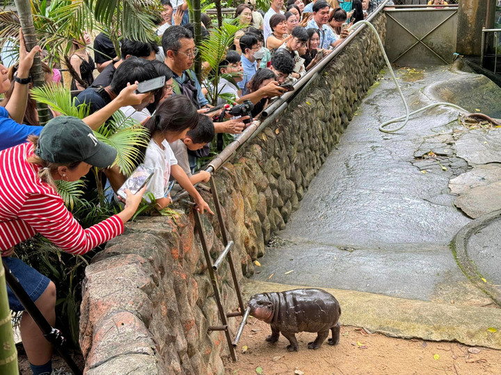 Lượng khách tham quan sở thú Khao Kheow Open Zoo tăng đột biến. (Ảnh: Khao Kheow Open Zoo)