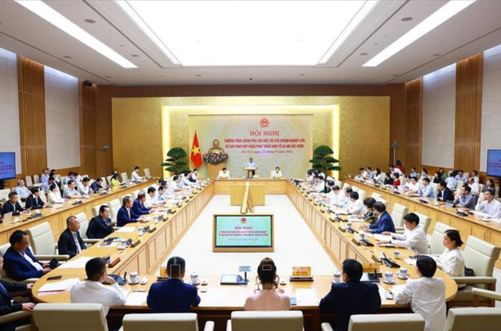 Hội nghị Thường trực Chính phủ làm việc với các doanh nghiệp lớn về giải pháp góp phần phát triển kinh tế-xã hội. (Ảnh: Dương Giang/TTXVN)