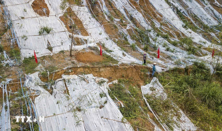 Khu vực đỉnh đồi Lủ Thao (Hòa Bình) có nhiều vết nứt liên tiếp, hình thành các cung trượt chiều dài khoảng 100m, độ sâu khoảng 3m, chiều rộng khoảng 40-60 cm. (Ảnh: Trọng Đạt/TTXVN)