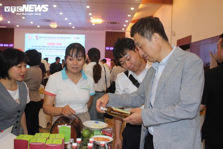 Doanh nghiệp Việt Nam và Hàn Quốc tìm hiểu và trao đổi thông tin về sản phẩm.