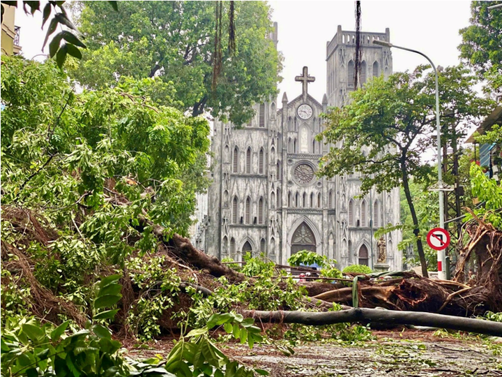 Quỹ Citi hỗ trợ 80.000 USD khắc phục hậu quả bão Yagi tại Việt Nam - 1