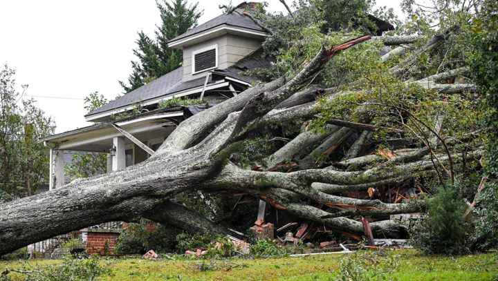 Cây to bị ngã đổ ở Anderson, bang Nam Carolina. (Ảnh: USA Today)