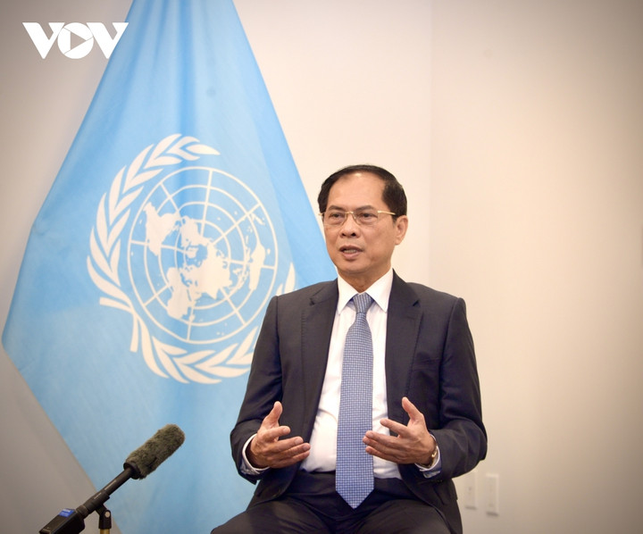 Phó Thủ tướng, Bộ trưởng Bộ Ngoại giao Bùi Thanh Sơn.