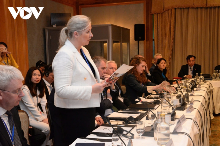 Đại diện doanh nghiệp Ireland phát biểu tại buổi gặp gỡ.