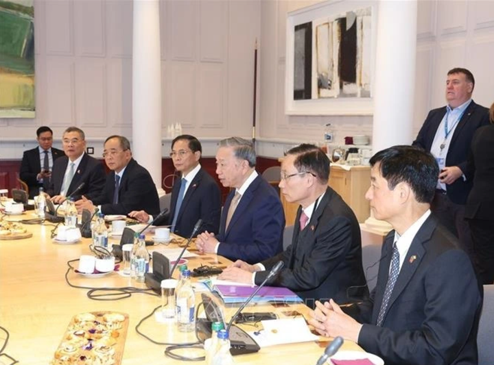 Tổng Bí thư, Chủ tịch nước Tô Lâm trong cuộc gặp Thủ tướng Ireland Simon Harris tại thủ đô Dublin, ngày 3/10/2024. (Ảnh: TTXVN)