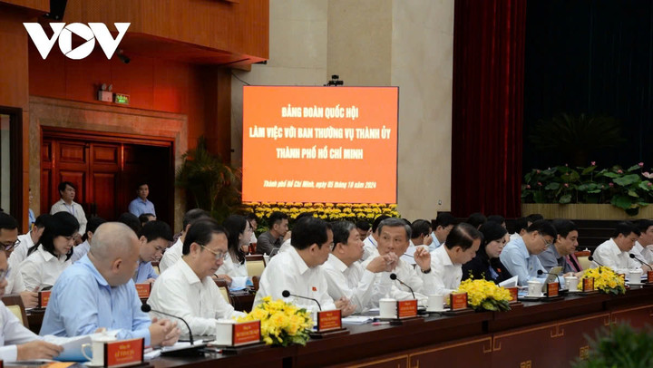 Các đại biểu tham dự buổi làm việc.