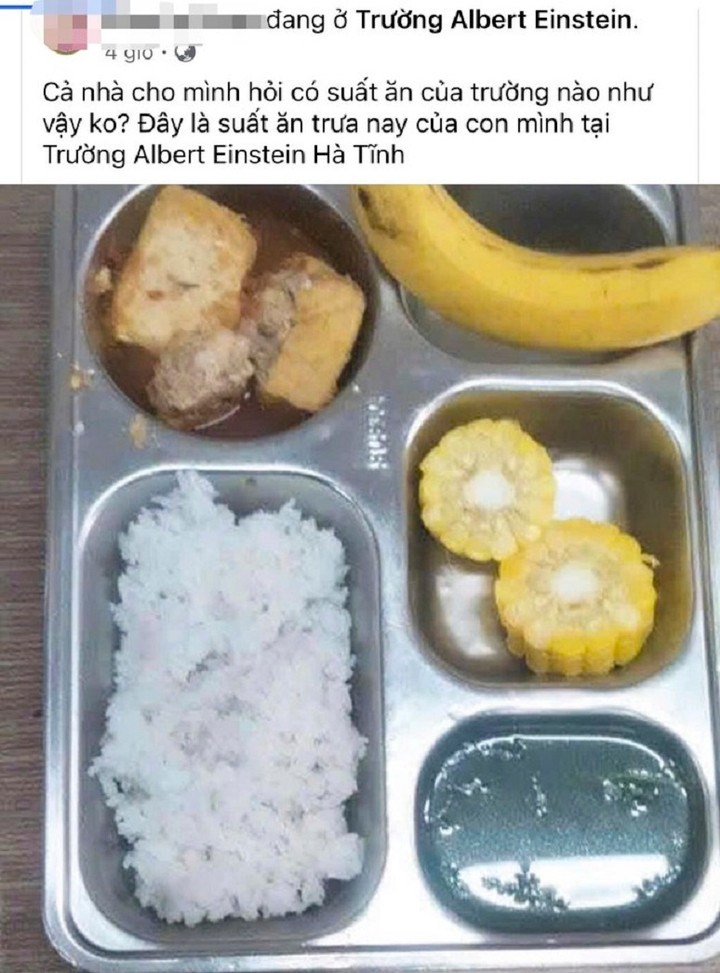 Hình ảnh suất ăn trưa cho học sinh tiểu học tại trường Albert Einstein như “cho người giảm cân”.