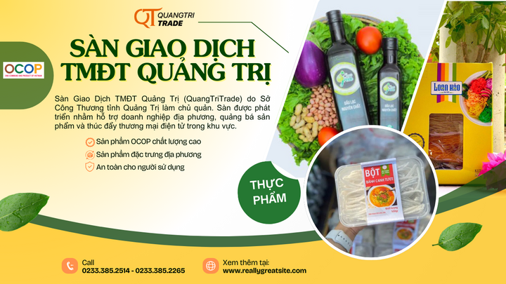 Sàn giao dịch thương mại điện tử Quảng Trị - kết nối giá trị, vươn tầm quốc gia  - 3