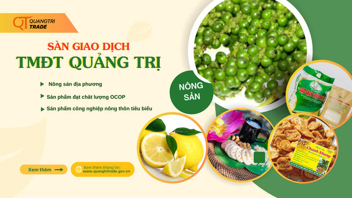 Sàn giao dịch thương mại điện tử Quảng Trị - kết nối giá trị, vươn tầm quốc gia  - 4