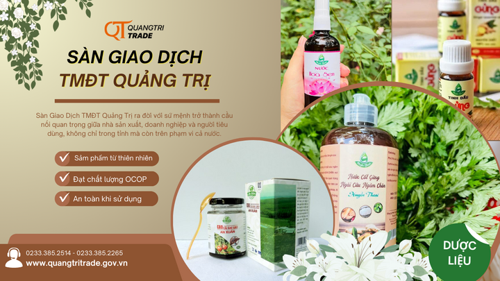 Sàn giao dịch thương mại điện tử Quảng Trị - kết nối giá trị, vươn tầm quốc gia  - 5