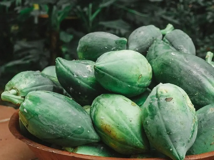 Cách chọn đu đủ ngon: Nên chọn những quả đu đủ xanh ngon có dáng tròn, không bị méo mó, sần sùi và cuống vẫn xanh. (Ảnh: Krishi Jargan)