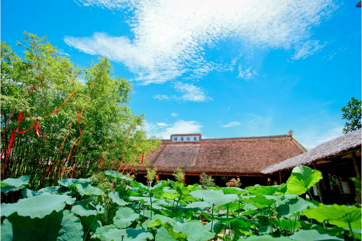Khuôn viên trong chùa tràn ngập màu xanh mát mẻ và yên bình.