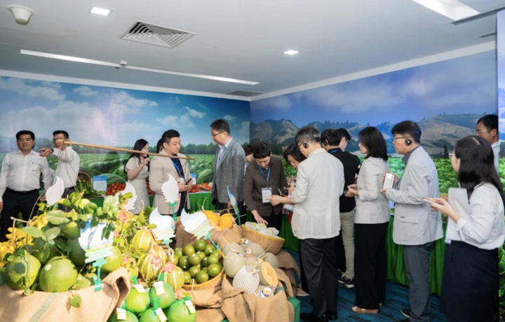 CEO Saigon Co.op chia sẻ 5 cột mốc doanh nghiệp 'chuyển mình' để phát triển - 3