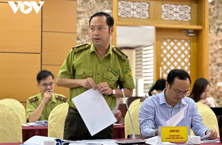 Ông Nguyễn Thanh Khương, Chi cục phó Chi cục Kiểm lâm tỉnh Quảng Ninh chia sẻ nguy cơ cháy rừng sau bão khi có khoảng 6 tấn vật liệu cháy trên rừng.