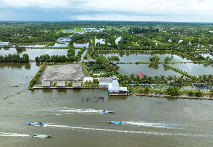 Đầm Thị Tường - một trong những dự án du lịch đang mời gọi đầu tư của tỉnh Cà Mau. (Ảnh: Huỳnh Lâm)
