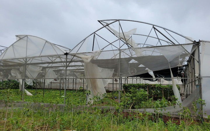 Khu vực trang trại công nghệ cao Delco farm tại xã Nguyệt Đức sau cơn bão số 3.