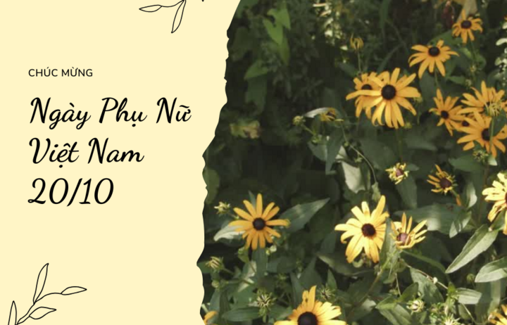 Ý nghĩa ngày Phụ nữ Việt Nam 20/10.