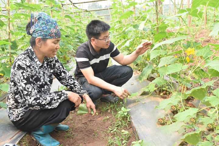 Hợp tác xã Độc Lập TP Hoà Bình. (Ảnh: Báo Hoà Bình).
