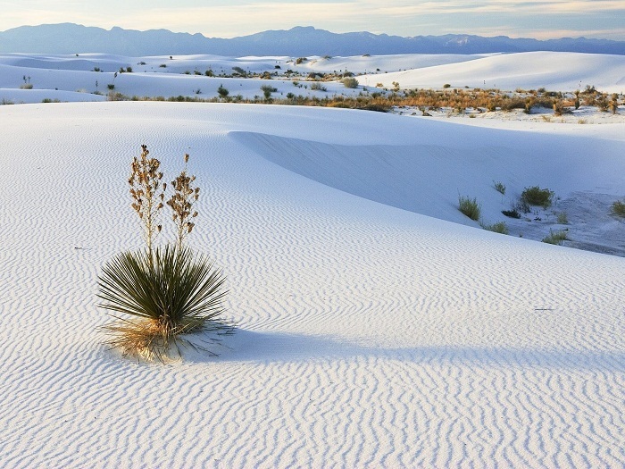 Nơi nào ở nước ta được mệnh danh là 'tiểu sa mạc Sahara'? - 4