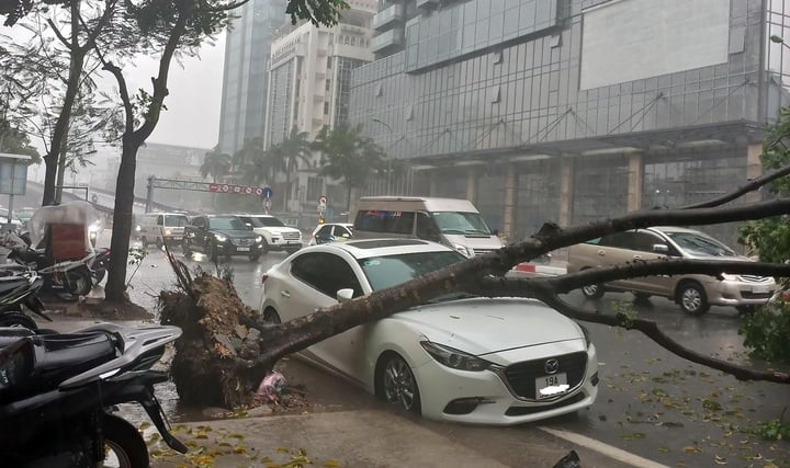 Cục Quản lý, giám sát bảo hiểm: 103 trường hợp tỷ vong, thương tật của khách hàng, tổng số tiền bồi thường hơn 21,25 tỷ đồng