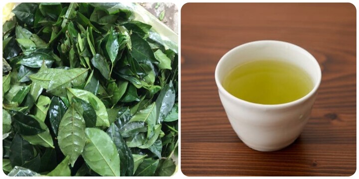 Nước chè xanh là thức uống lành mạnh, tốt cho sức khoẻ.