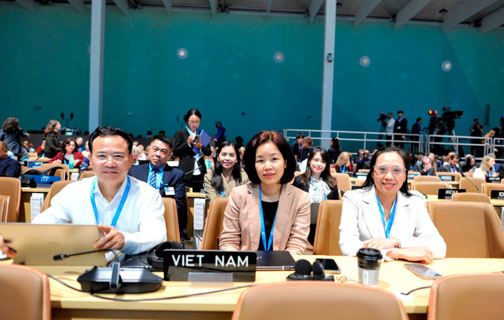 Đoàn Việt Nam tham dự Hội nghị COP29. (Ảnh: Báo Tài Nguyên Môi trường)