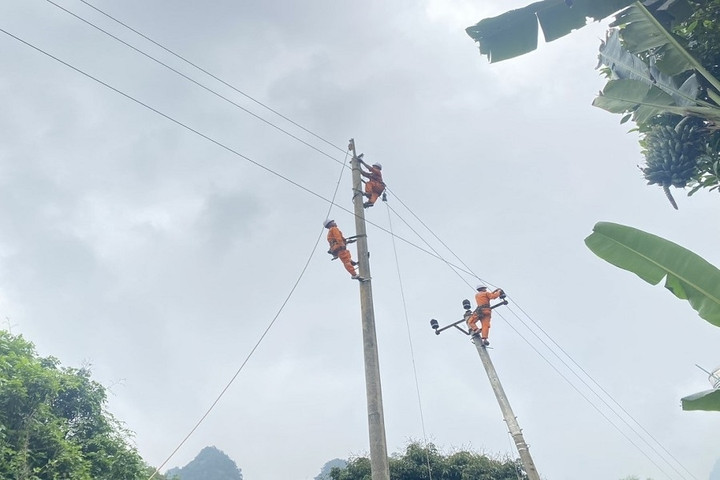 Điện lực Na Hang, PC Tuyên Quang xử lý khiếm khuyết trên lưới điện trước mùa mưa bão.
