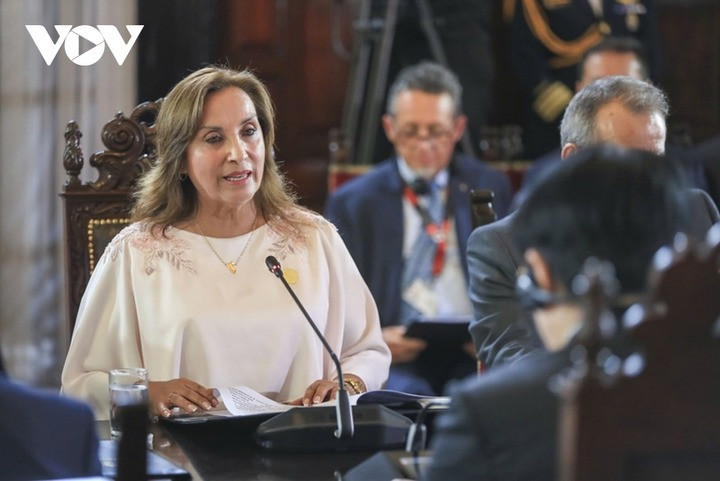 Tổng thống Peru Dina Ercilia Boluarte Zegarra phát biểu tại hội đàm.