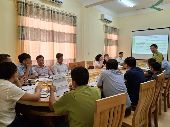 Doanh nghiệp Việt Nam sẽ phải theo dõi sát sao quá trình xây dựng chính sách của châu Âu. (Ảnh minh họa)