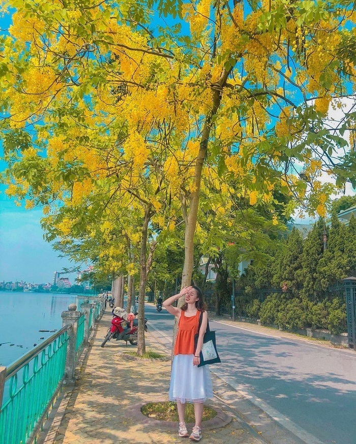 Tuyến đường này nằm xen giữa hồ Tây và hồ Trúc Bạch, có trồng rất nhiều những hàng cây phượng vĩ, hoàng yến.