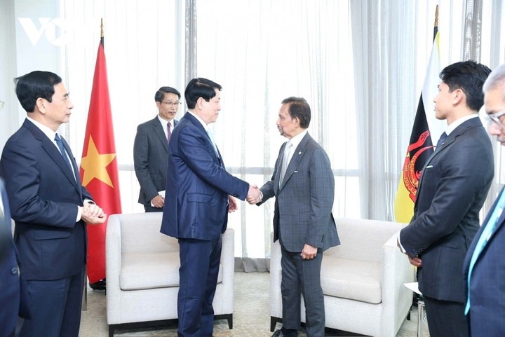 Chủ tịch nước Lương Cường và Quốc vương Brunei Darussalam Hassanal Bolkiah.