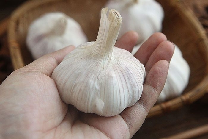 Tỏi – loại gia vị giúp tăng thêm hương vị cho món ăn của bạn, có khả năng hạ huyết áp và cholesterol. (Ảnh minh hoạ)