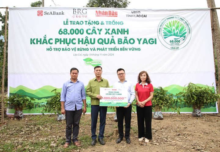 SeABank và BRG chung tay trồng 68.000 cây phủ xanh gần 20ha rừng tại Lào Cai - 2