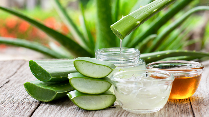 Thoa gel lô hội tươi cũng là cách giúp hết ngứa do nhựa khoai môn. (Ảnh: Foreo)