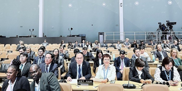 Đoàn Việt Nam tham dự COP29.