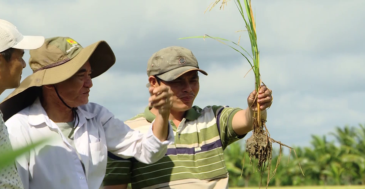 Ông Đoàn Trí Hải, Xã An Trường, huyện Càn Long, tỉnh Trà Vinh.