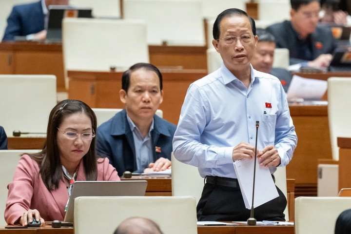 Đại biểu Nguyễn Trúc Sơn (Đoàn ĐBQH tỉnh Bến Tre).