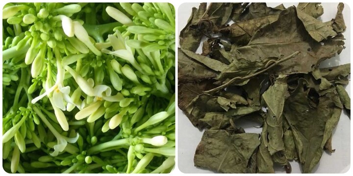 Hoa đu đủ đực và lá xạ đen rất tốt cho sức khoẻ.