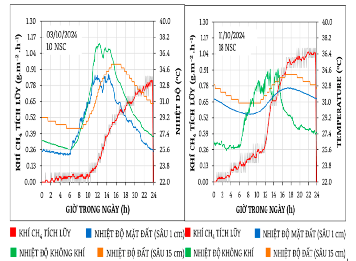 NSC: Ngày sau cấy. Các chỉ số khí mê-tan được đo lường theo thời gian thực 24/24 cho thấy cường độ tích lũy khí mê-tan trong thời gian từ 8:00 đến 10:00 giờ sáng khác với sau 12:00 giờ trưa.