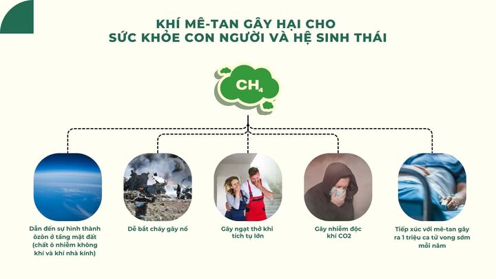 Khí mê-tan - 'sát thủ' của khí hậu trái đất - 2