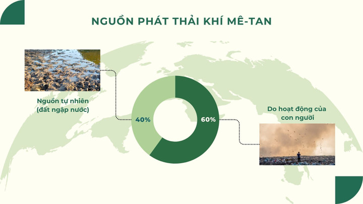 Khí mê-tan - 'sát thủ' của khí hậu trái đất - 4